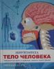 Петтмэн К. Тело человека. Инфографика