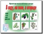 В саду, на поле, в огороде. Настольно-печатные дидактические игры в папке. Киров: ИП Бурдина С.В.