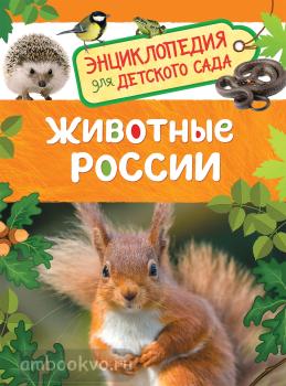 Животные России. Энциклопедия для детского сада (Росмэн)