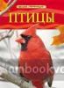 Птицы. Детская энциклопедия