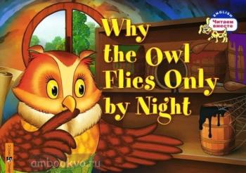 Читаем вместе. Максименко.  Почему сова летает только ночью. Why the Owl Flies Only by Night (Айрис)