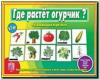 Где растёт огурчик? / Настольно-печатные дидактические игры в папке (Весна-Дизайн)