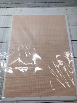 Бумага масштабно-координатная (миллиметровка) А4. 10 листов, 85г/м, оранжевая (Aladdin)