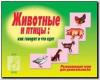 Животные и птицы / Настольно-печатные дидактические игры в папке (Весна-Дизайн)