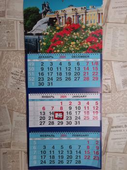 Календарь 2025 тройной квартальный большой (310х690мм). Санкт-Петербург. Медный всадник. Цветы