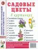 Садовые цветы в картинках. Наглядное пособие для педагогов, логопедов, воспитателей и родителей (Гном) - Садовые цветы в картинках. Наглядное пособие для педагогов, логопедов, воспитателей и родителей (Гном)