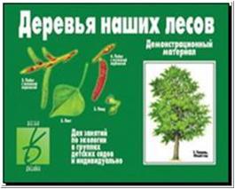Деревья наших лесов / Демонстрационные материалы (Весна-Дизайн)
