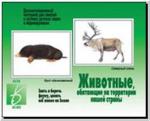 Животные нашей страны. Демонстрационные материалы. Киров: ИП Бурдина С.В.