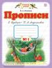Илюхина. Прописи 1 класс в четырех частях. Часть 1 (к Букварю Андриановой). ФГОС (Дрофа)