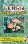 Шорыгина Т.А. Грибы. Какие они? Знакомство с окружающим миром, развитие речи. Книга для воспитателей, гувернеров и родителей