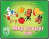 Мир вокруг нас / Настольно-печатные дидактические игры в папке (Весна-Дизайн)