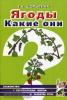 Ягоды. Какие они? Знакомство с окружающим миром, развитие речи (Гном)
