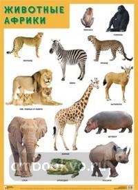 Плакат. Животные Африки (Мозаика-Синтез)