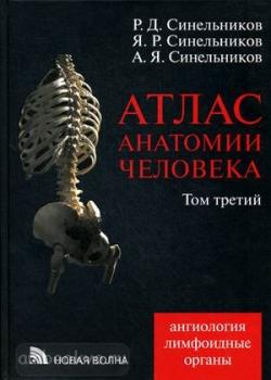 Синельников. Атлас анатомии человека. В четырех томах. Том 3 (Новая Волна)