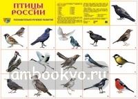Демонстрационный плакат. Птицы России. А2 (Сфера)
