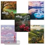 Тетрадь 96 листов ЛИНИЯ на скобе серия -Удивительный мир- , формат А5