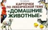 Арбекова Н.Е. Карточки по лексической теме "Домашние животные". Упражнения по развитию навыков словообразования (Гном)